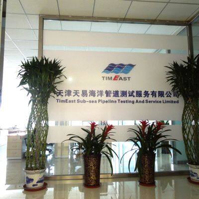 Tianjin TimEast Sub-sea Pipeline Testing And Service Limited
