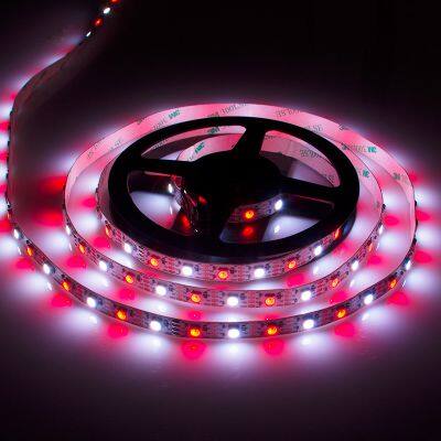 DC 12V 60 Leds/M LC8808B 5050 RGB 60 Pixel MultiColor Indoor Decor Ambient Digital Rgb Led Strip Various Effect Ws2815 Led Strip photo-3