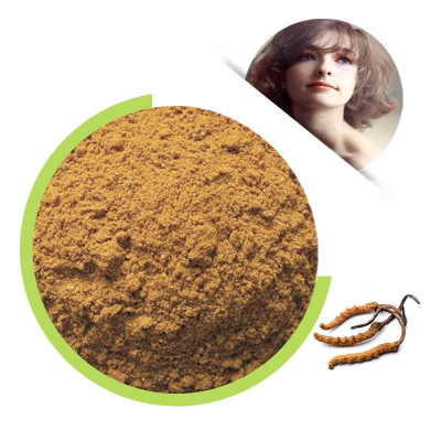 100% Natural Cordyceps sinensis powder/Cordyceps sinensis mycelium Cs-4