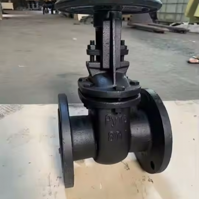 Russian Standard GOST Cast Steel Cast Iron Gate Valve photo-5