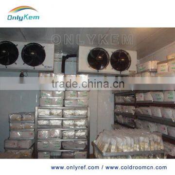 Insulated Walk in Freezer Lobster Storage photo-2