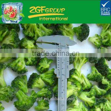 chinese top qualtiy frozen broccoli