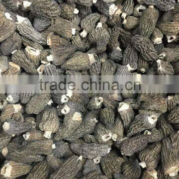 dried morel mushrooms for sale