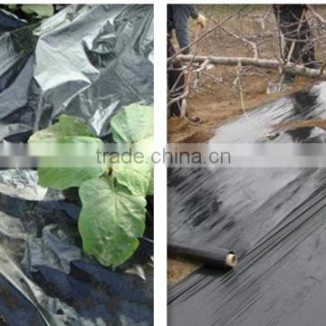 China plastic mulching film wholesale