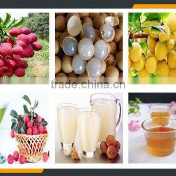 Leader Excellent Performance and Popular Litchi Skin Peeling Equipment photo-6