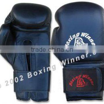 Training / Sparring Gloves