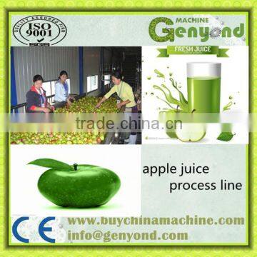 tomato juice production line/Apple juice production line