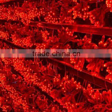 Cheap Solar Powered Led String Light photo-3