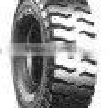 A BRAND 33.00R51 XDR