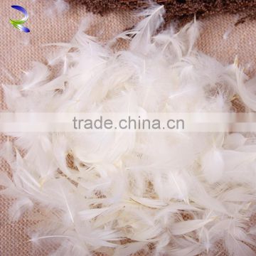 Fashion design cheap price down and feathers white goose feather