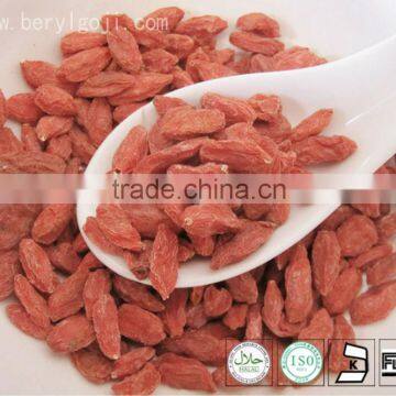 new dried goji berry snack food