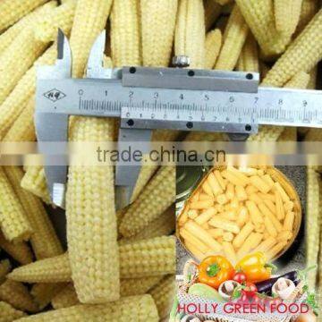 CANNED JAR TIN SWEET BABY CORN HIGH QUALITY super sweet NO GMO TAIWAN yellow baby corn raw material