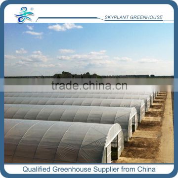 SP-S-8 Tunnel Plastic Film Greenhouse for vegetable