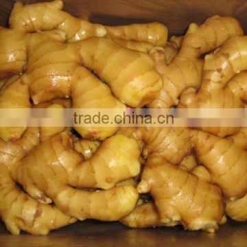 Fresh and Dried Ginger