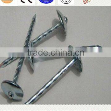 BWG 9-13 umbrella head twisted shank roofing nails