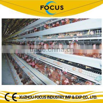 Focus industry hot sale hot galvanize chicken battery cage