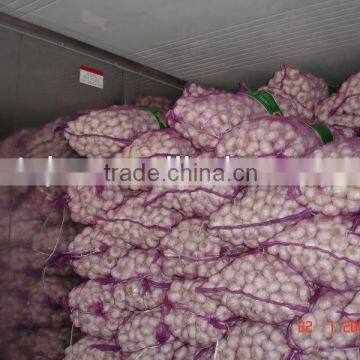 Chine new garlic price