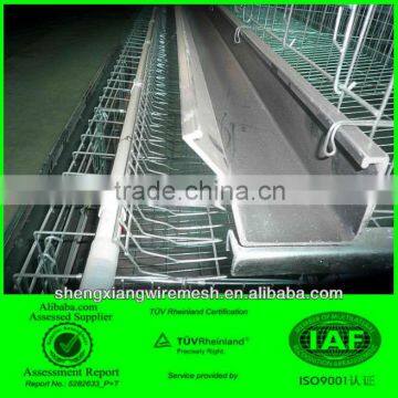 poultry cage / 3 layer cage system