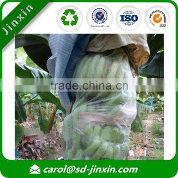 Inflatable Banana Sleeping Bag/banana Protection Bag/protect Bag for Banana in Best Selling Items photo-4