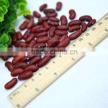 Dark Red Kidney Beans photo-6