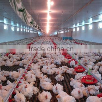 low cost poultry shed/farm for broiler layer breeder chicken design