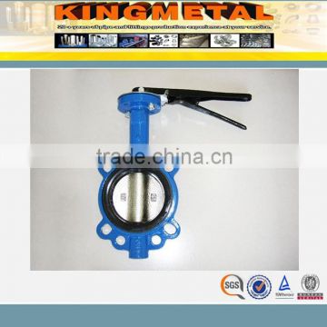 Dn40-1200 Pn10/16 Wafer and Flanged Butterfly Valve