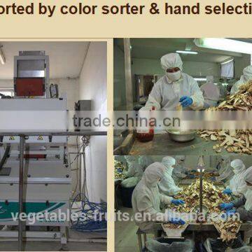 New Crop Dehydrated Horeradish Granules