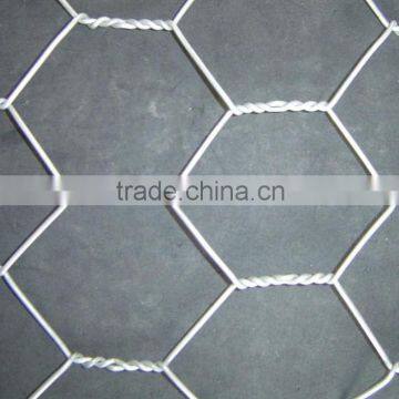 Hexagonal Wire Mesh