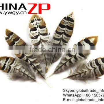 CHINAZP Bulk Sale Selected Prime Quality Natural 5-10cm Size Reeves Venery Pheasant Feathers for DIY Decorations photo-3