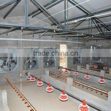 Automatic Chicken/poultry Farm Ewuipment photo-1