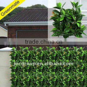 Colorful Plastic Trellis Hedge