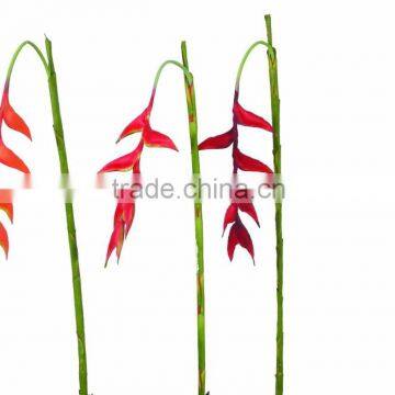 Artificial Hanging Heliconia YL146 photo-3