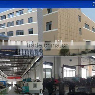 Painting China Carbon Frame photo-2