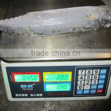 Fresh Steak Mackerel Frozen King Fish