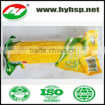 Sweet Corn Cob in Vacuum Packing