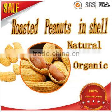 health food export products shandong peanuts (all sizes) organic best selling Roasted Peanuts In Shell In China