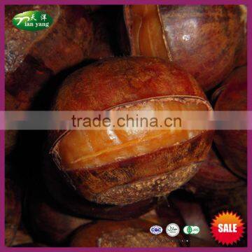 Top Grade Ringent Roasted Chinese Chestnut Snack Foodstuff