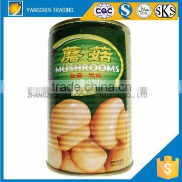 wholesale canned mushroom of top quality