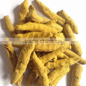 TURMERIC FINGERS