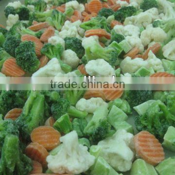 supply new season frozen califlornia vegetable