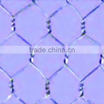 Galvanized Hexagonal Wire mesh