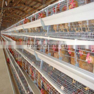 Poultry farm automatic equipment layer chicken cage for nigeria