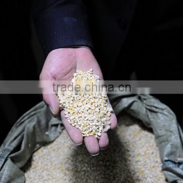 corn degermination machine used to degerminate maize