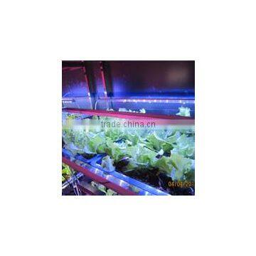 MarsHydro waterproof ETL certificated led 60 cm/120 cm grow bar