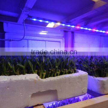 MarsHydro Led Grow Bar60cm 120cm ,marshydro Led Grow Light,waterproof Grow Bar Strip photo-2