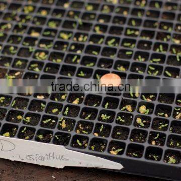420 Cell Black HIPS Vegetable Plants Seed Nursery Trays, Stock MOQ 1000pcs photo-5