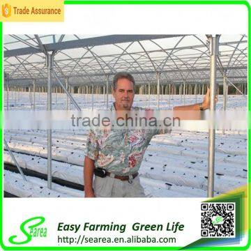 Gutter Height Commercial Polycarbonate Greenhouse for Used photo-2