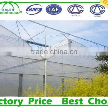 Commercial Metalic Greenhouse photo-6