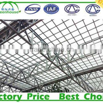 Commercial Tunnel Tomato Greenhouse photo-2