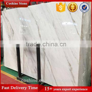 Polished Carara White Marble Natural Stone Slab photo-3
